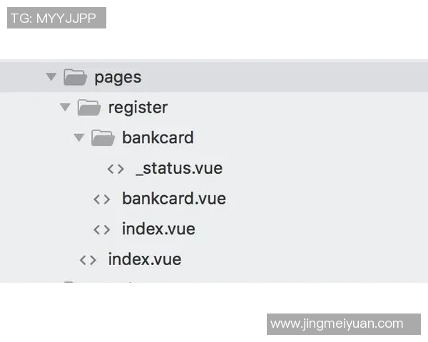 杭州排球队战术深度解析与实战应用探讨