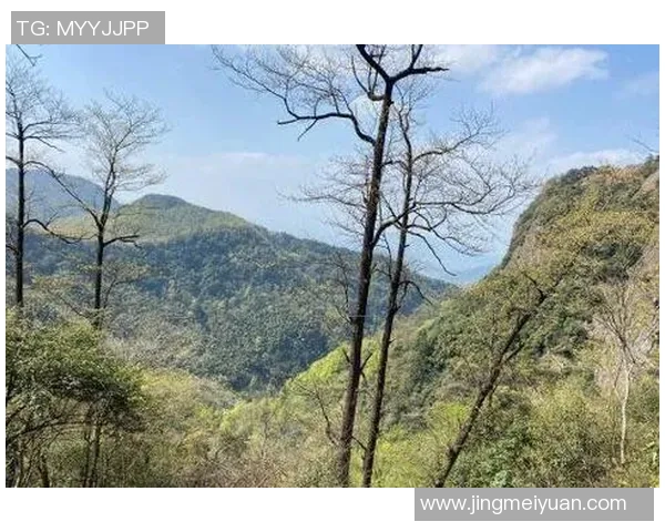 深度对话：黄丽在英雄联盟世界中的成长与挑战之旅